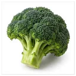 Ingrédient : brocoli