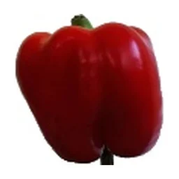 Ingrédient : Poivron rouge