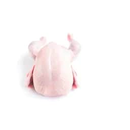 Ingrédient : morceaux de poulet