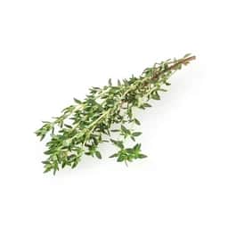 Ingrédient : thym frais