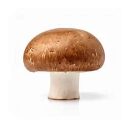 Ingrédient : Champignons de Paris ou champignons de paille