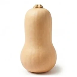 Ingrédient : courge butternut