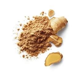Ingrédient : Gingembre en poudre