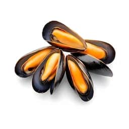 Ingrédient : moules fraîches brossées et ébarbées