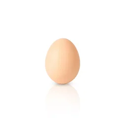 Ingrédient : œuf