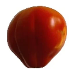 Ingrédient : 2 tomates mûres concassées